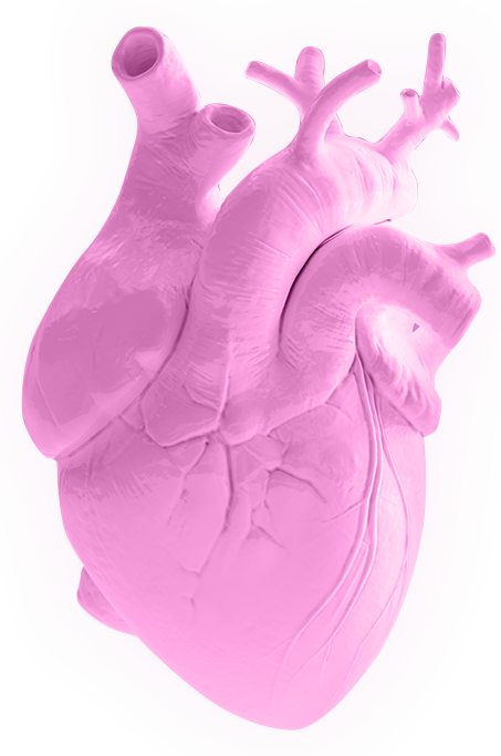 heart